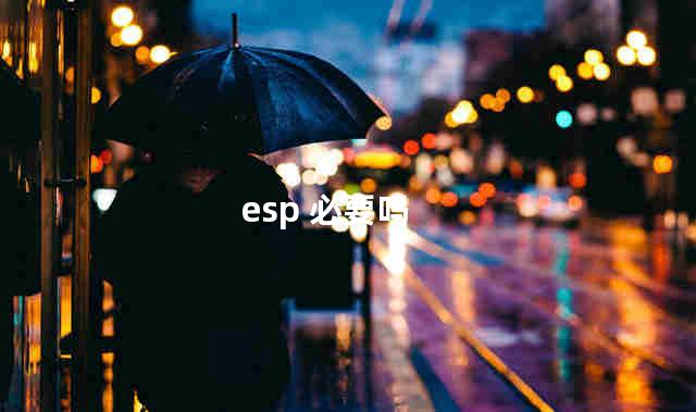 esp 必要吗